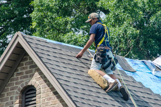 Roof Gutter Cleaning in Clearfield, UT